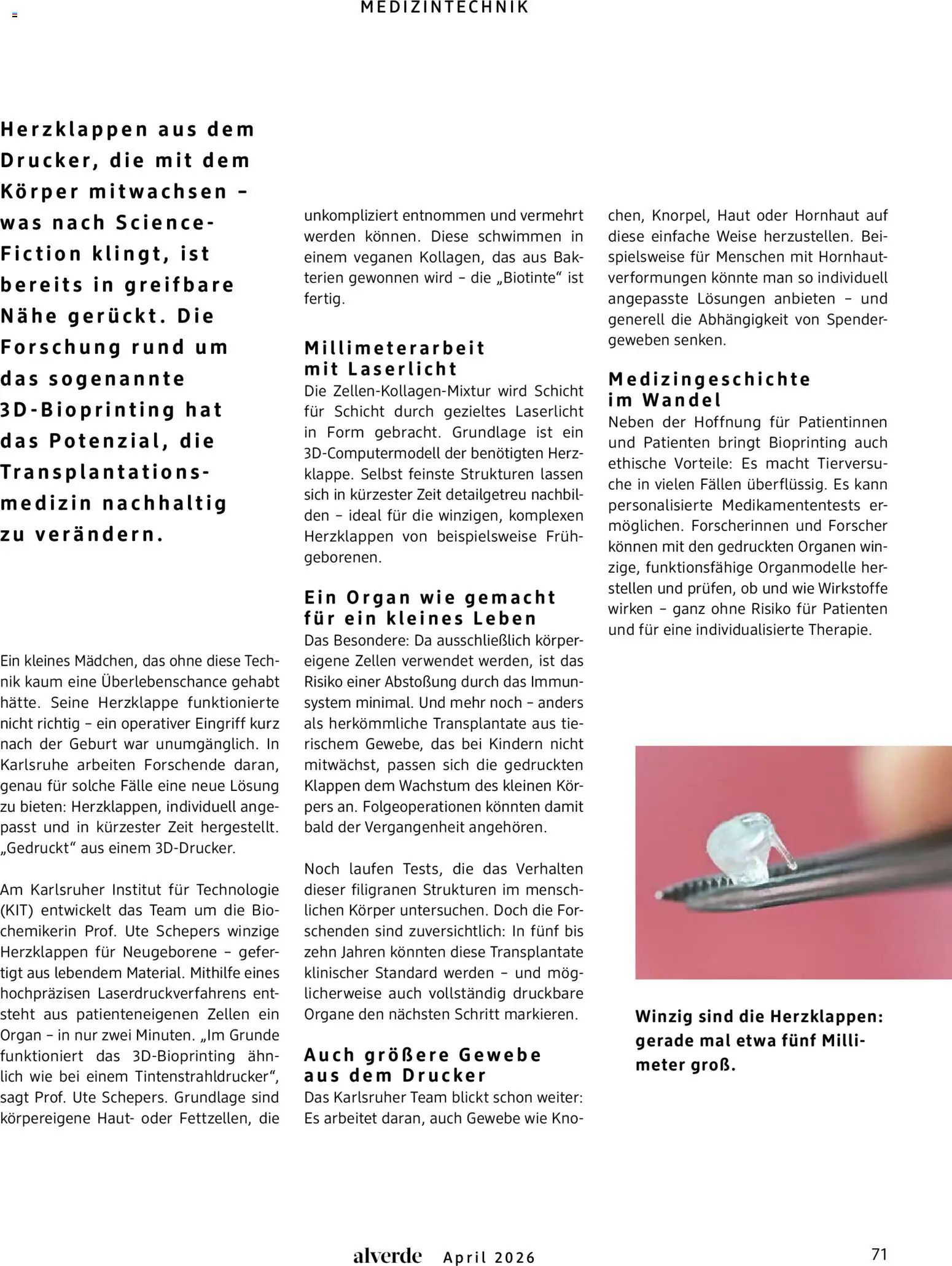 dm drogerie Prospekt 	 – gültig ab 01.04.2026 | Seite: 71