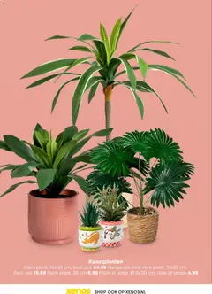 Xenos - Trendmagazine  - Voorbeeld van een folder van Xenos, geldig van 19.01.2026 | Pagina: 12 | Producten: Pot