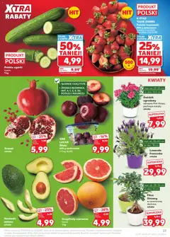 Pogląd oferty "Kaufland gazetka" - ważna od 29.04.2026 | Strona: 27 | Produkty: Truskawki, Ogórki, Kwiaty, Fikus