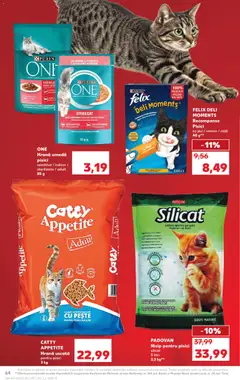 Ofertele Kaufland valabile de la 14.01.2026 | Pagină: 64 | Produse: Pară, Hacıyatmaz Kedi Oyuncağı, Rață, Morcovi