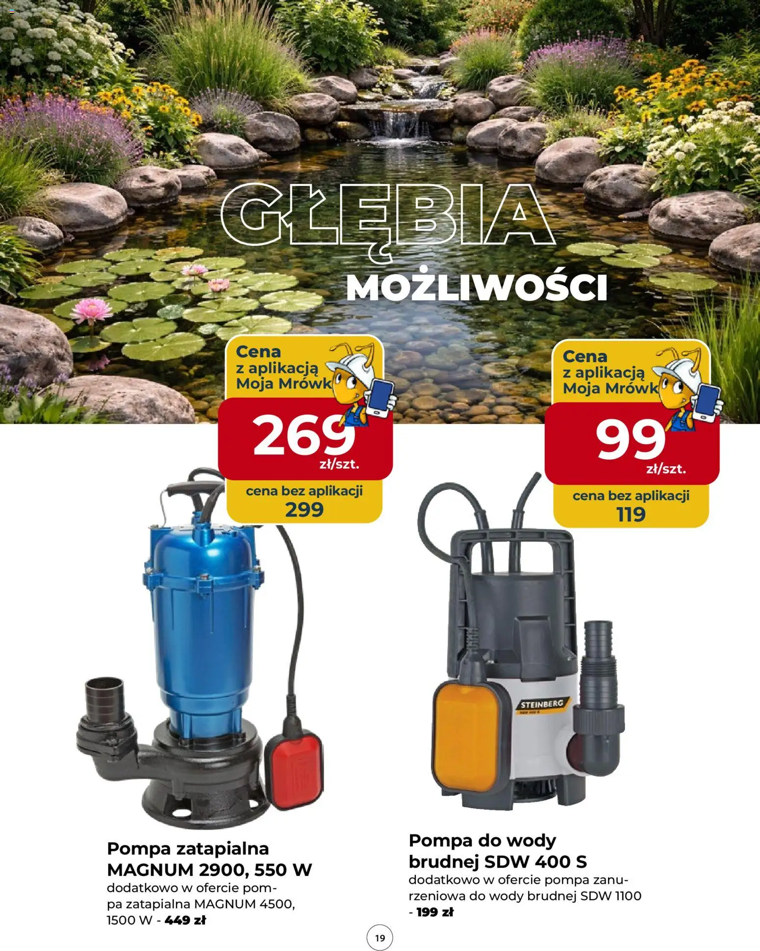 Mrówka Gazetka od 12.02.2026 | Strona: 19