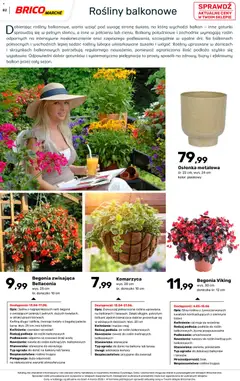 Pogląd oferty "Brico Marché gazetka - Wiosna" - ważna od 04.03.2026 | Strona: 82 | Produkty: Doniczka, Rosliny, Doniczki, Kwiaty