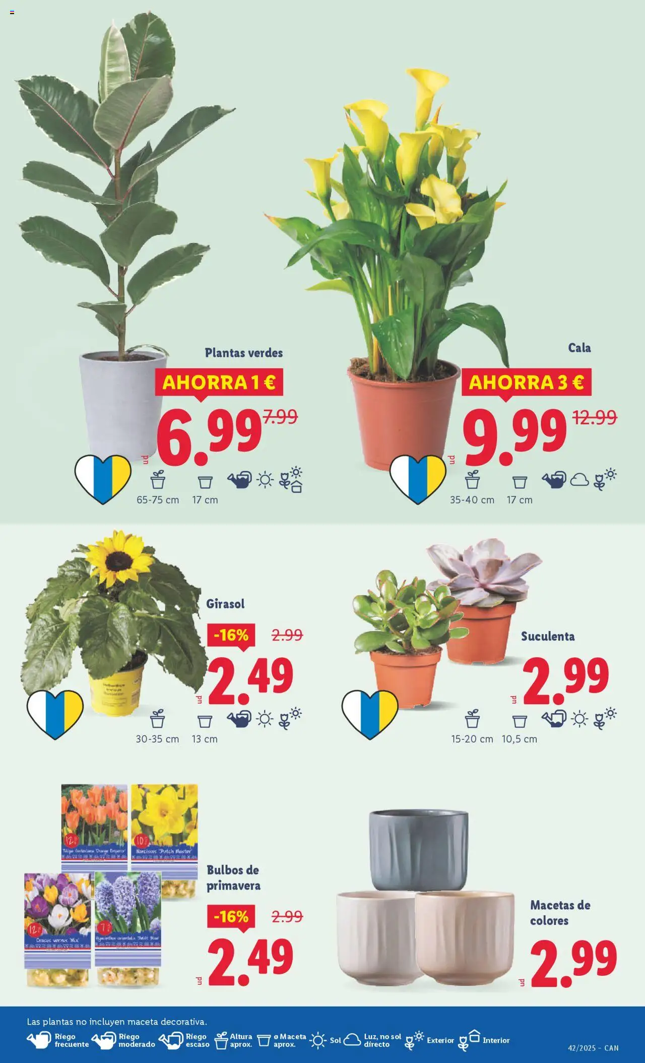 Lidl - Canarias │ válido desde el 13.10.2025 | Página: 41 | Productos: Maceta
