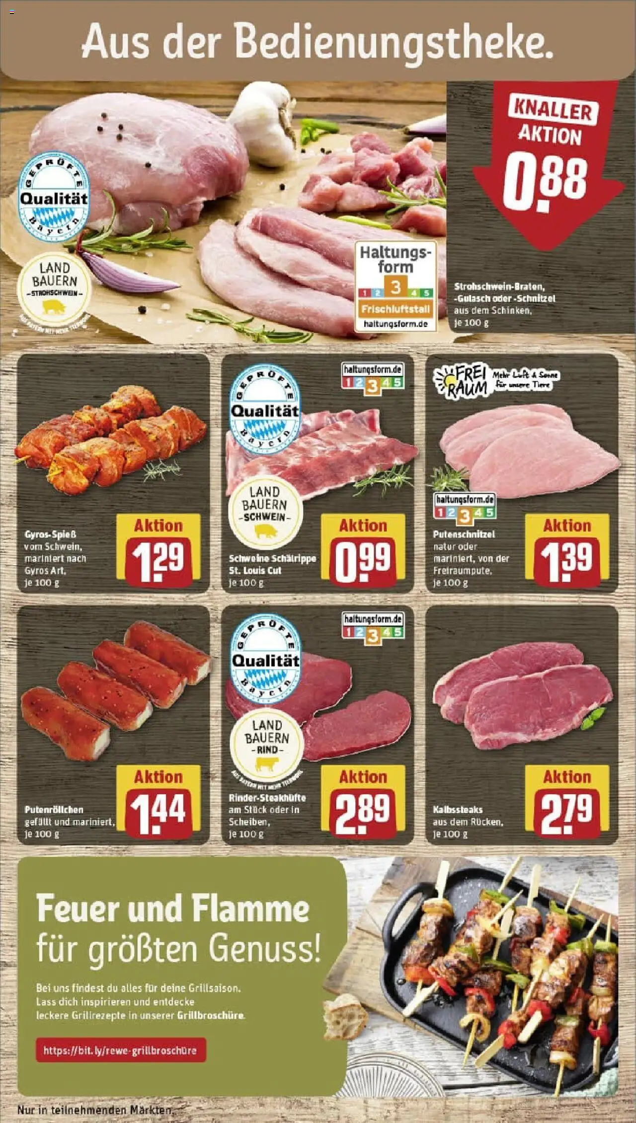 Rewe prospekt Lenting	 - gültig ab dem 06.07.2025 | Seite: 10 | Produkte: Schnitzel, Gyros, Gulasch, Putenschnitzel
