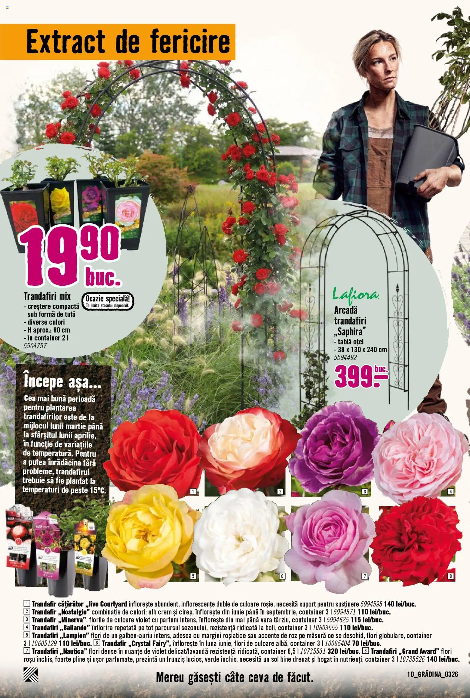 Noul catalog Hornbach – valabil de la 23.03.2026 | Pagină: 10 | Produse: Trandafir, Tablă, Parfum, Pește