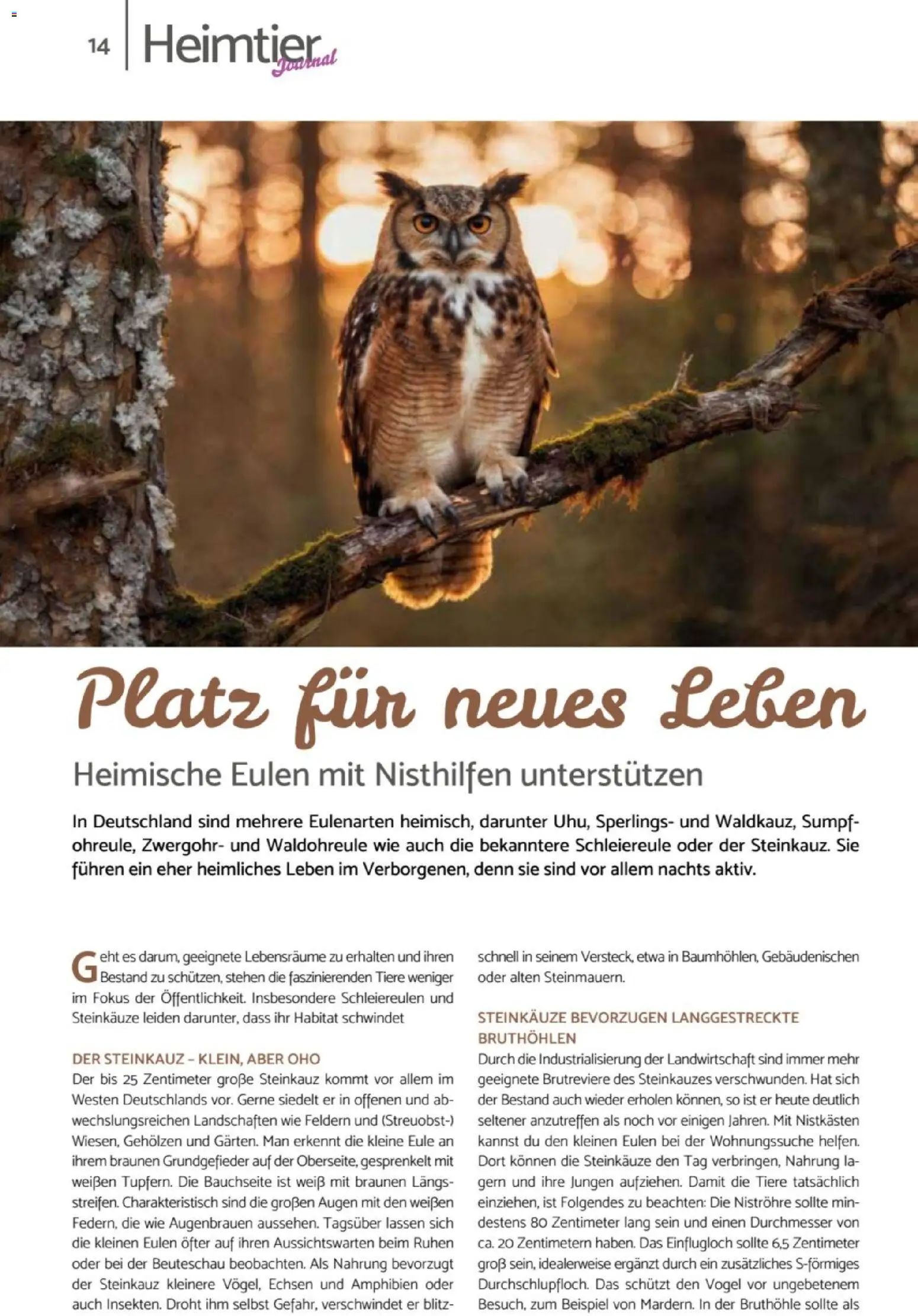 zookauf Heimtier Journal – gültig ab 01.04.2026 | Seite: 14