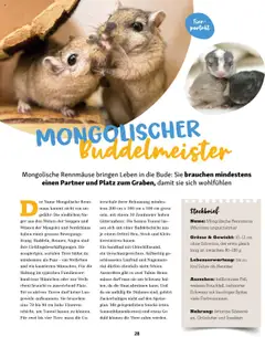 Fressnapf Magazin – gültig ab 01.09.2025 | Seite: 28 | Produkte: Maus, Gewicht