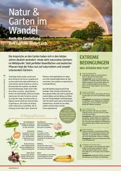 Bauhaus Reiche Ernte Magazin 2025 gültig ab 01.07.2025 | Seite: 34 | Produkte: Wasser, Knoblauch, Erbsen, Computer