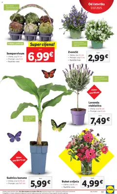 Lidl katalog | vrijedi od 14.07.2025 | Stranica: 51