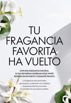 Vista previa Oriflame - Catálogo Campaña 17 válido desde el 10.12.2025 | Página: 4
