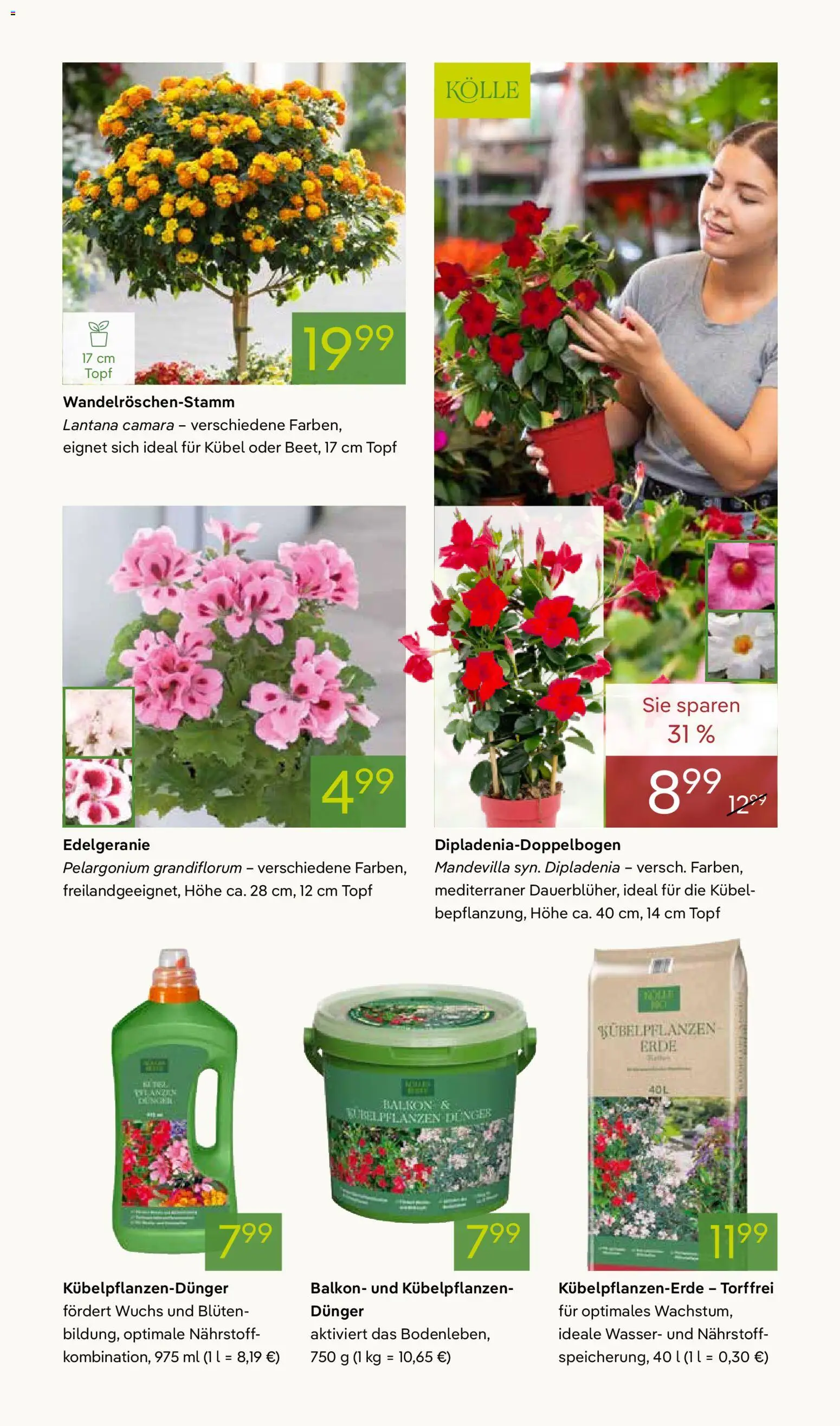 Pflanzen-Kölle Prospekt 	 – gültig ab 07.04.2026 | Seite: 3 | Produkte: Wasser