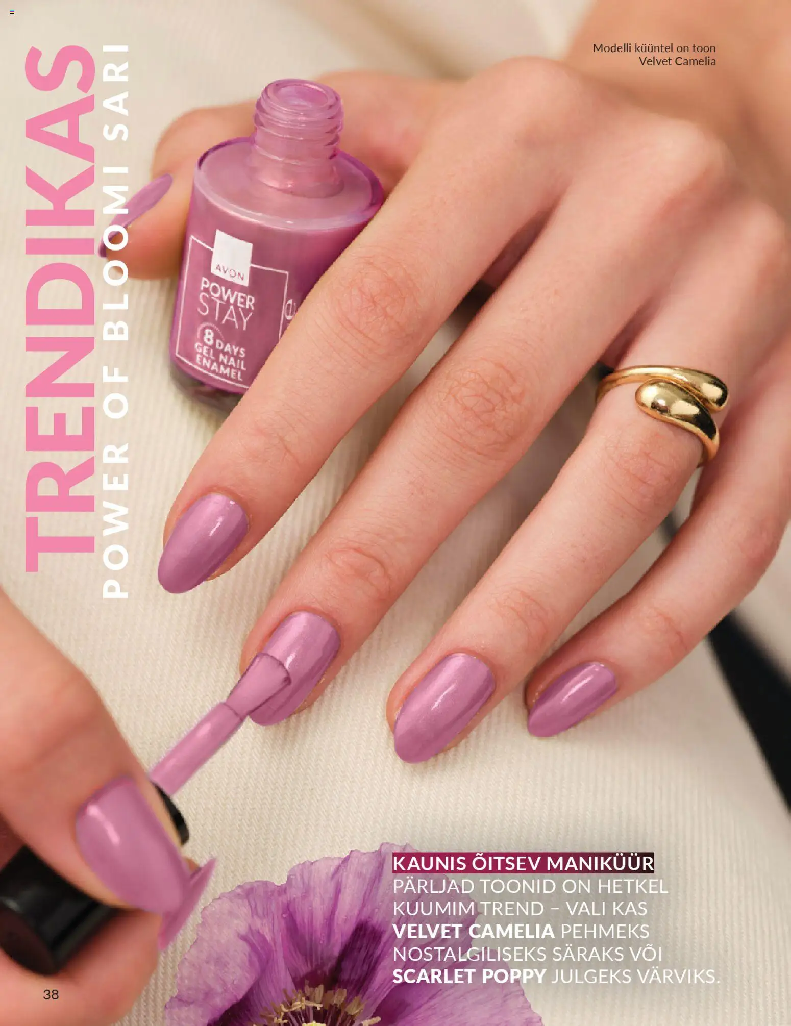 {H1} | Lehekülg: 38