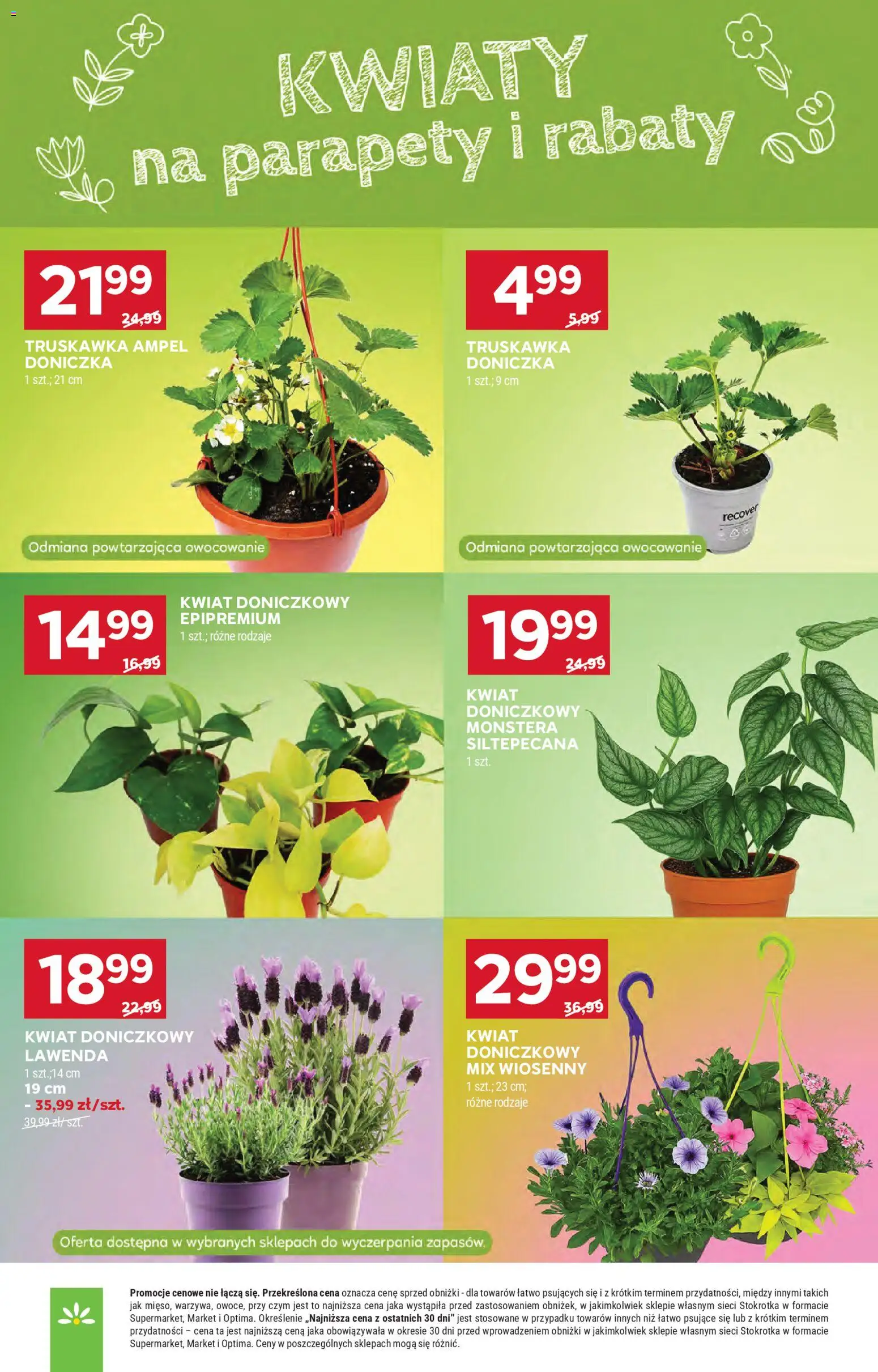 Stokrotka gazetka - Market od 23.04.2026 | Strona: 39 | Produkty: Stokrotka, Doniczka, Kwiaty
