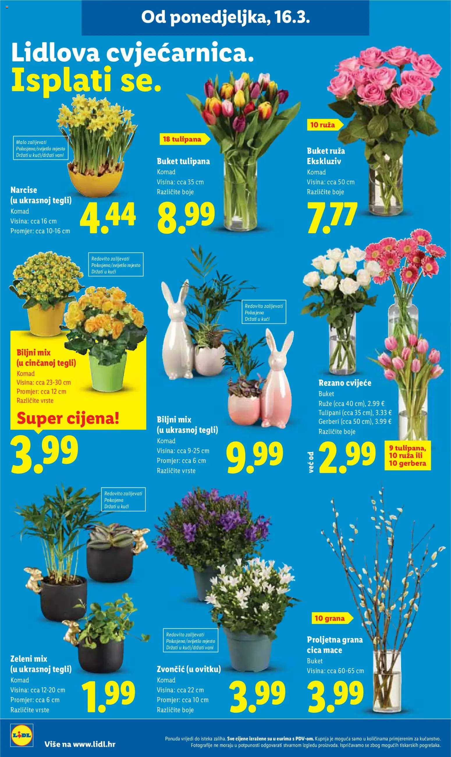 Lidl katalog | vrijedi od 16.03.2026 | Stranica: 30 | Proizvodi: Cvijeće