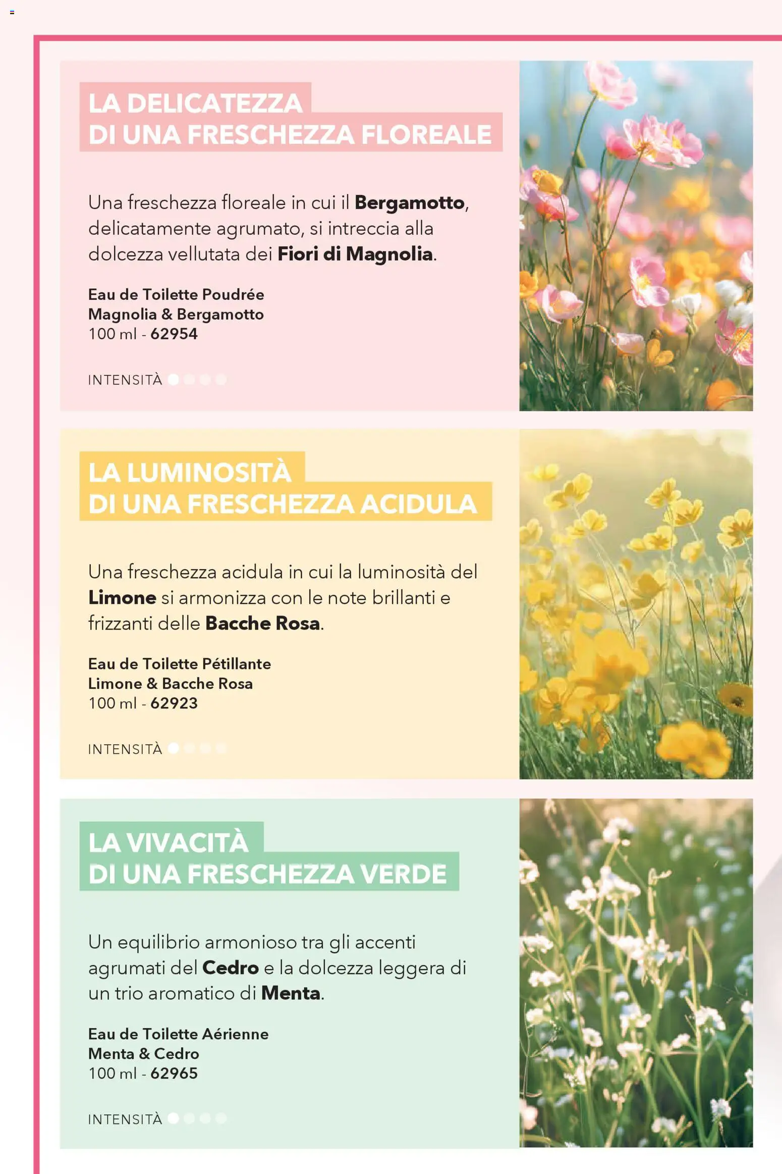 Volantino Yves Rocher del 23.04.2026 | Pagina: 8 | Prodotti: Limone, Menta