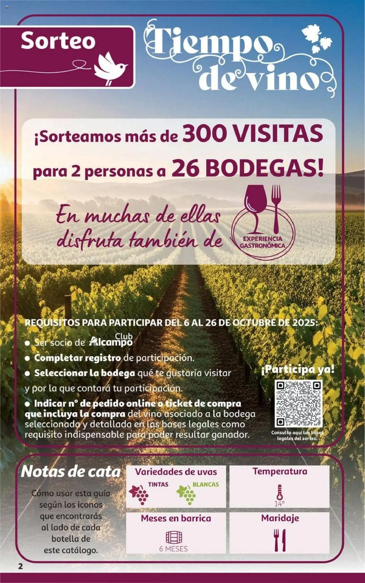 Alcampo - HG Aragón │ válido desde el 06.10.2025 | Página: 2 | Productos: Τζίντζερ, Vino, Té