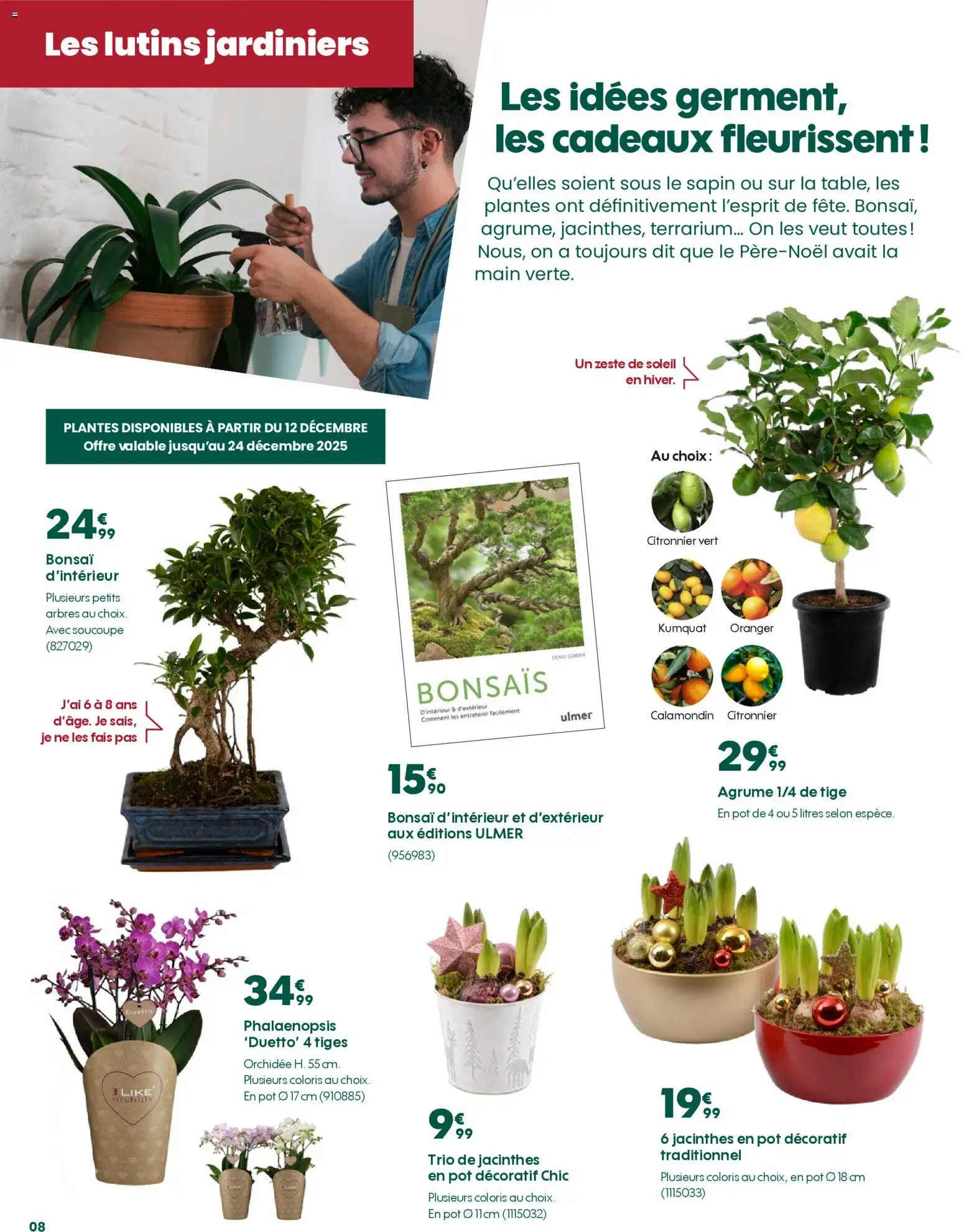 {H1} | Page: 8 | Produits: Plantes, Citronnier, Orchidée, Kumquat