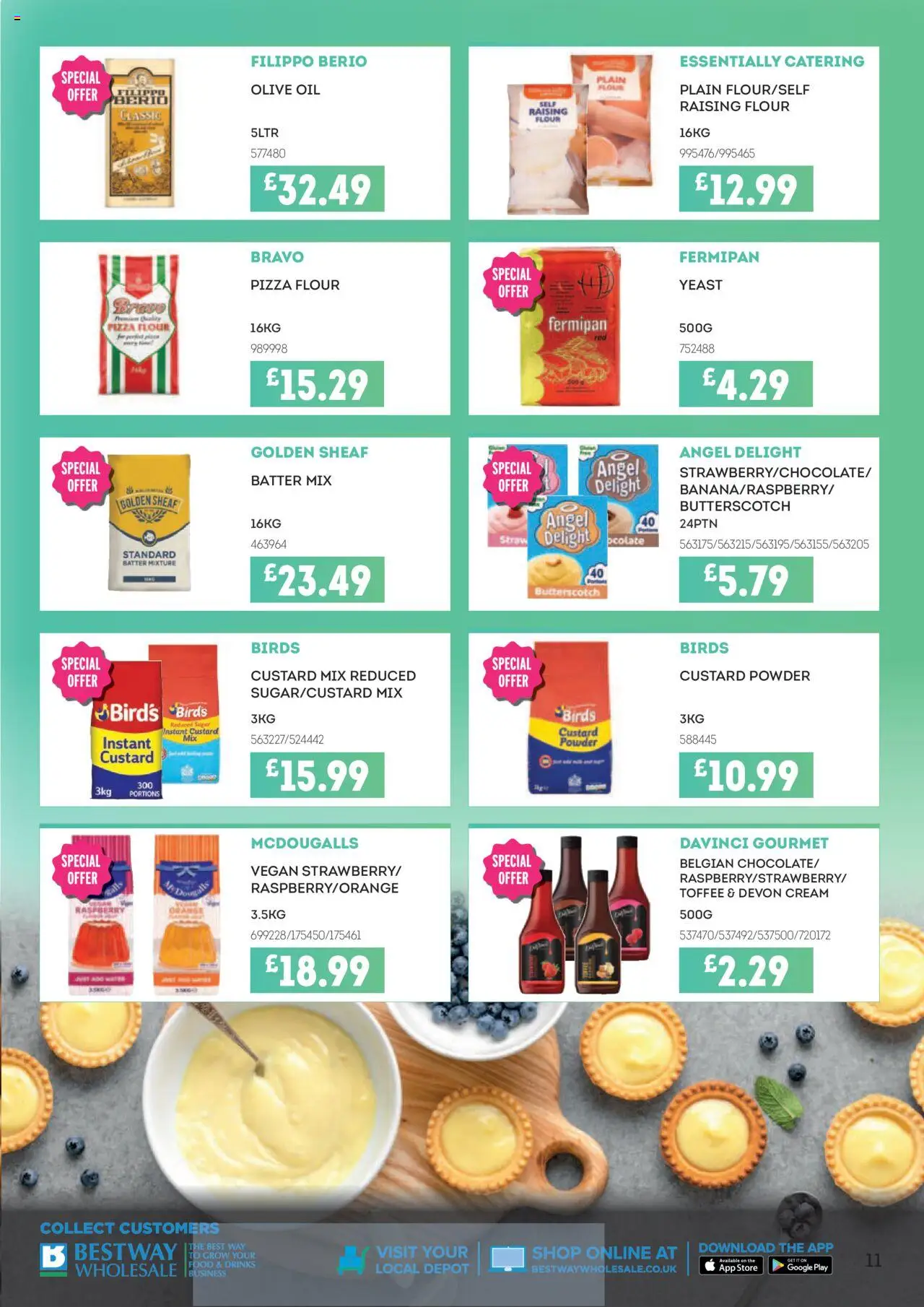 {H1} | Page: 11 | Products: Olive oil, Nourriture pour chat, Oil, Raspberry