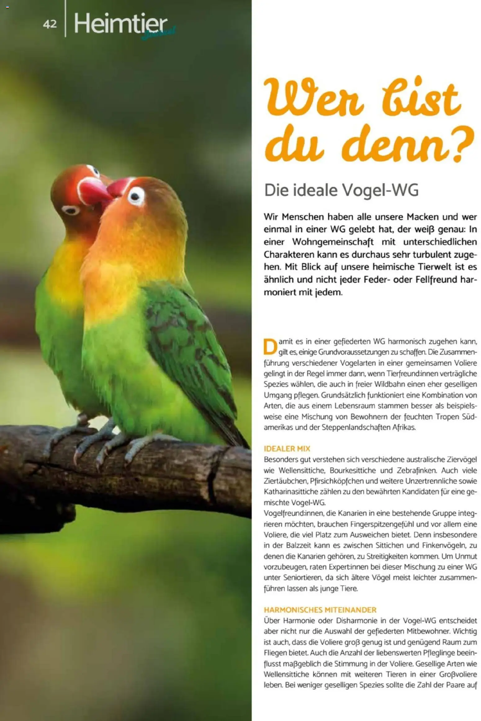 zookauf - Heimtier Journal – gültig ab 01.12.2025 | Seite: 42