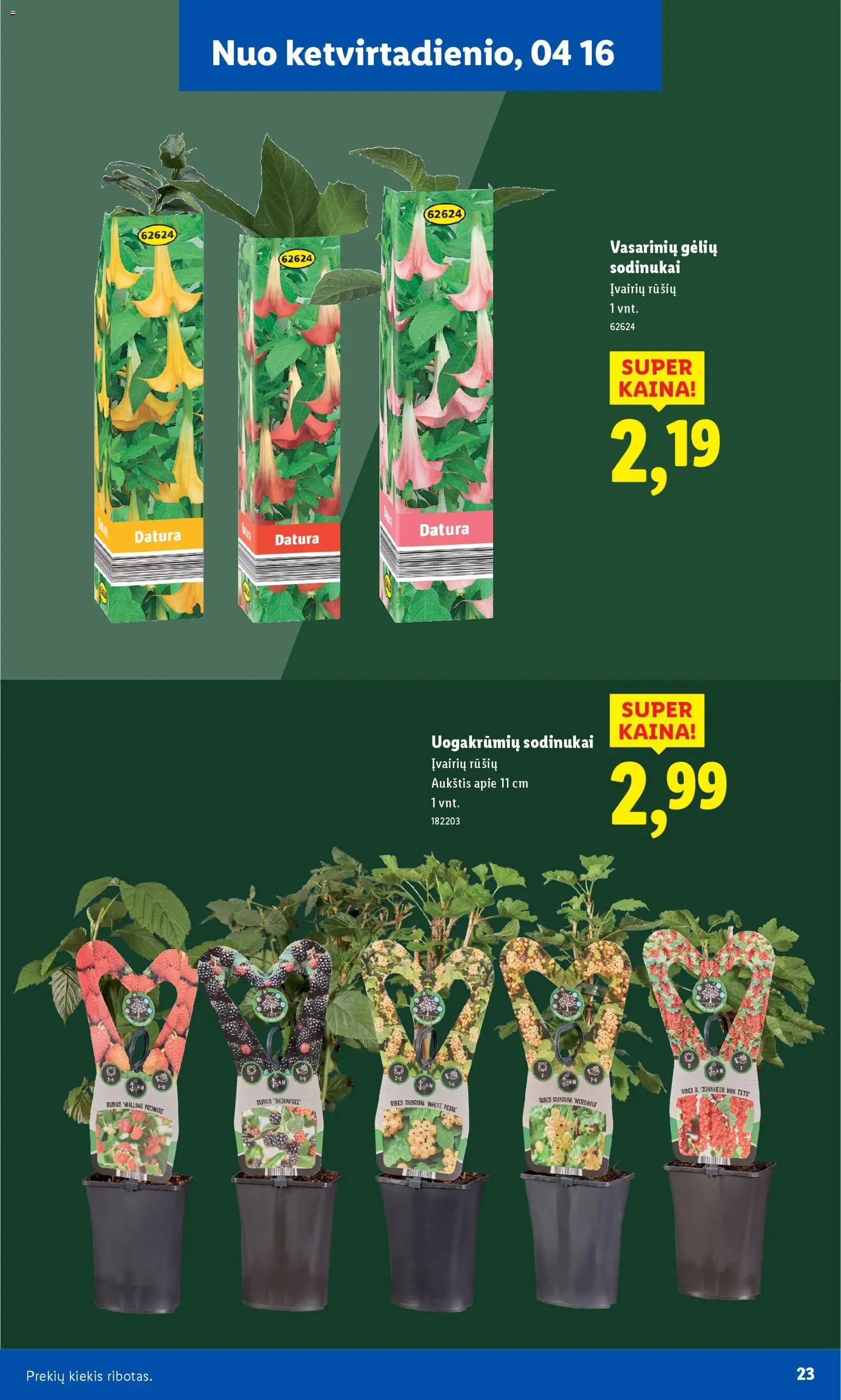 LIDL akcijos nuo 30.03.2026 | Puslapis: 23