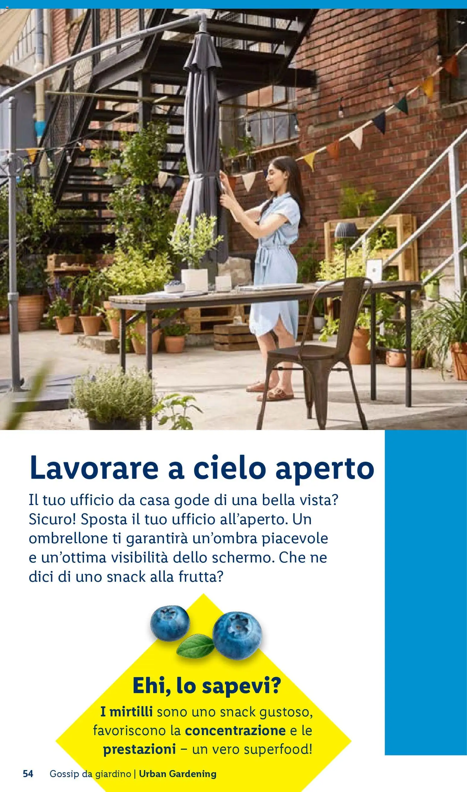 Volantino Lidl del 23.04.2026 | Pagina: 54 | Prodotti: Ombrellone, Frutta, Mirtilli