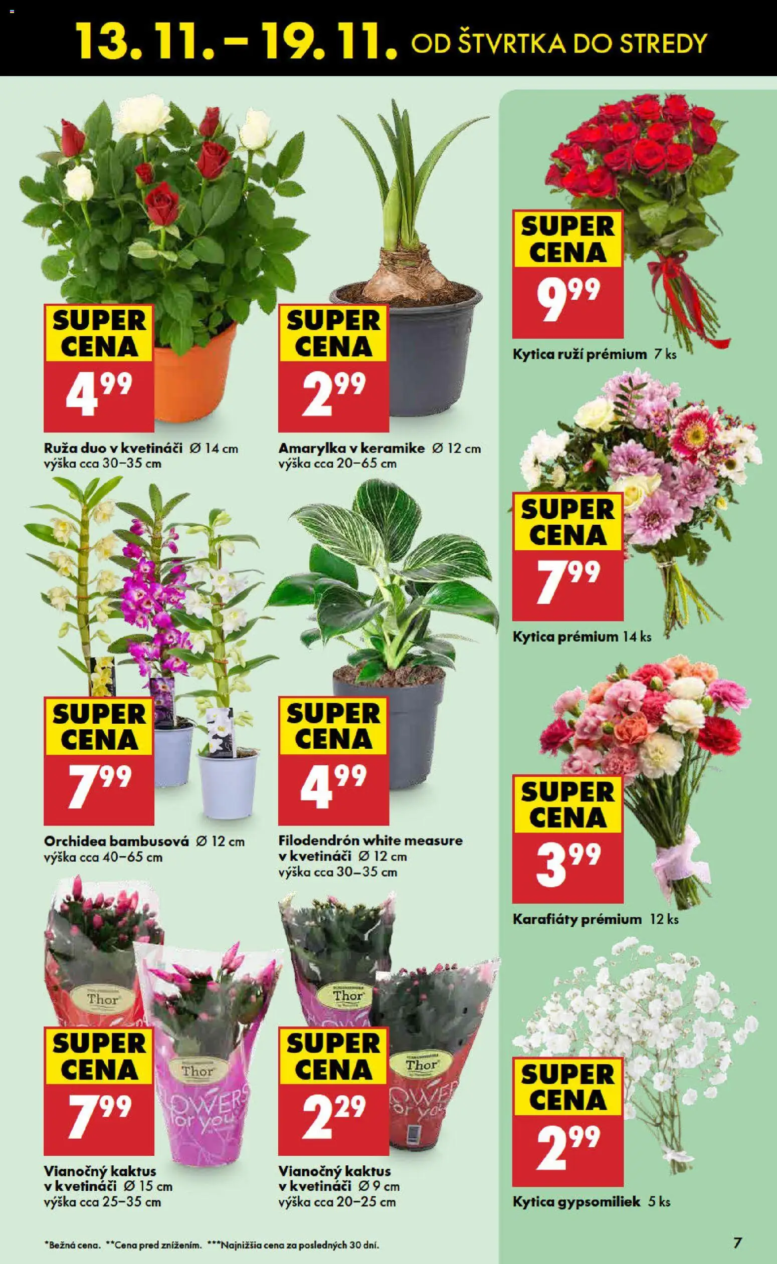 Nové Biedronka akcie – leták je platný od 13.11.2025 | Strana: 7 | Produkty: Orchidea