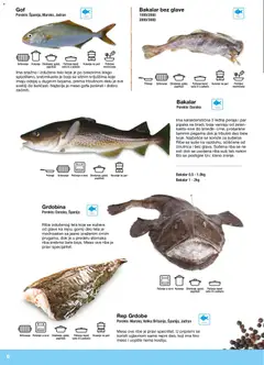 Metro riba i plodovi mora - pregled Metro kataloga - važi od 10.12.2025 | Strana: 6 | Proizvode: Sto, Riba