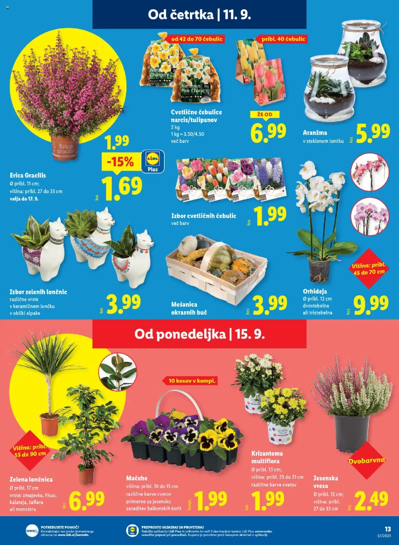 Novi Lidl katalog ponudbe – veljaven od 11.09.2025 | Stran: 19 | Izdelki: Zelena