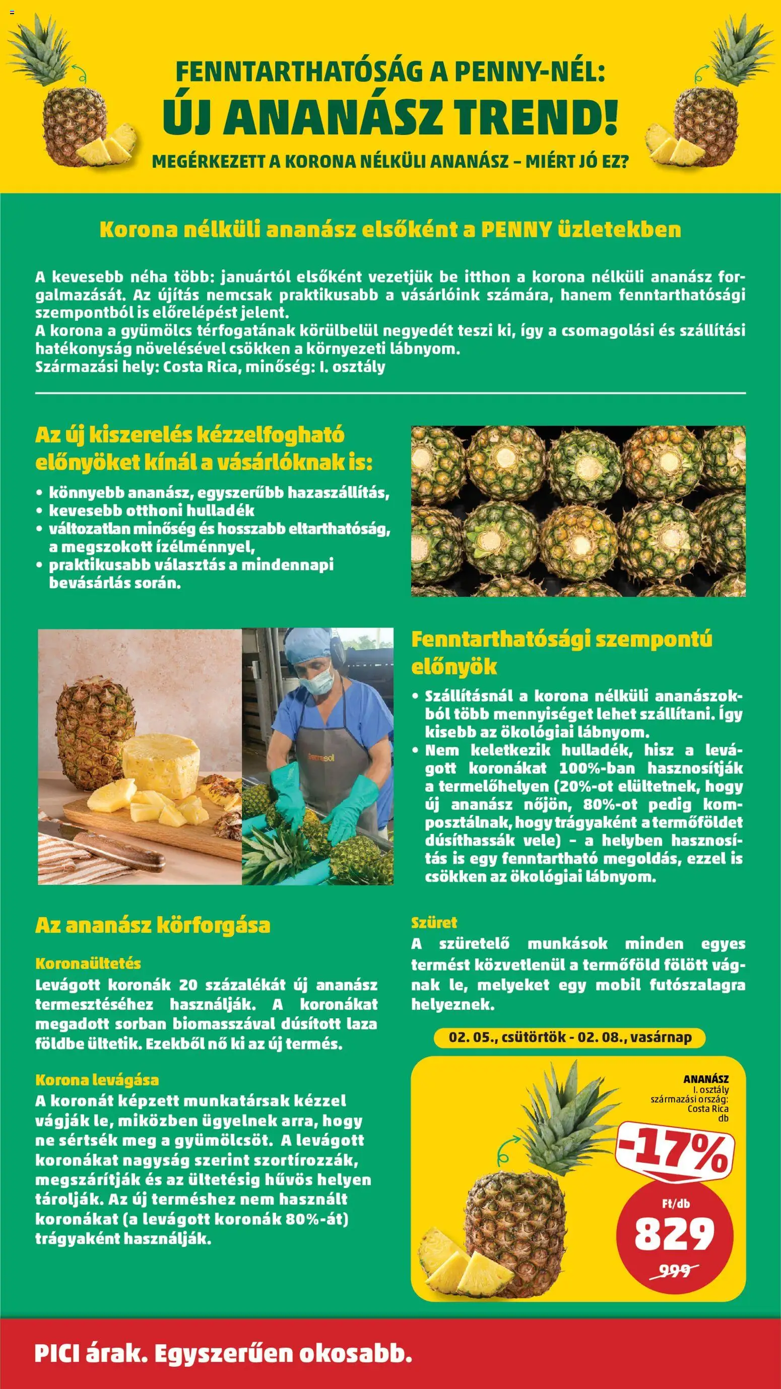 PENNY akciós ujság - amely érvényes a következő dátumtól: 05.02.2026 | Oldal: 31 | Termékek: Gyümölcs, Ananász