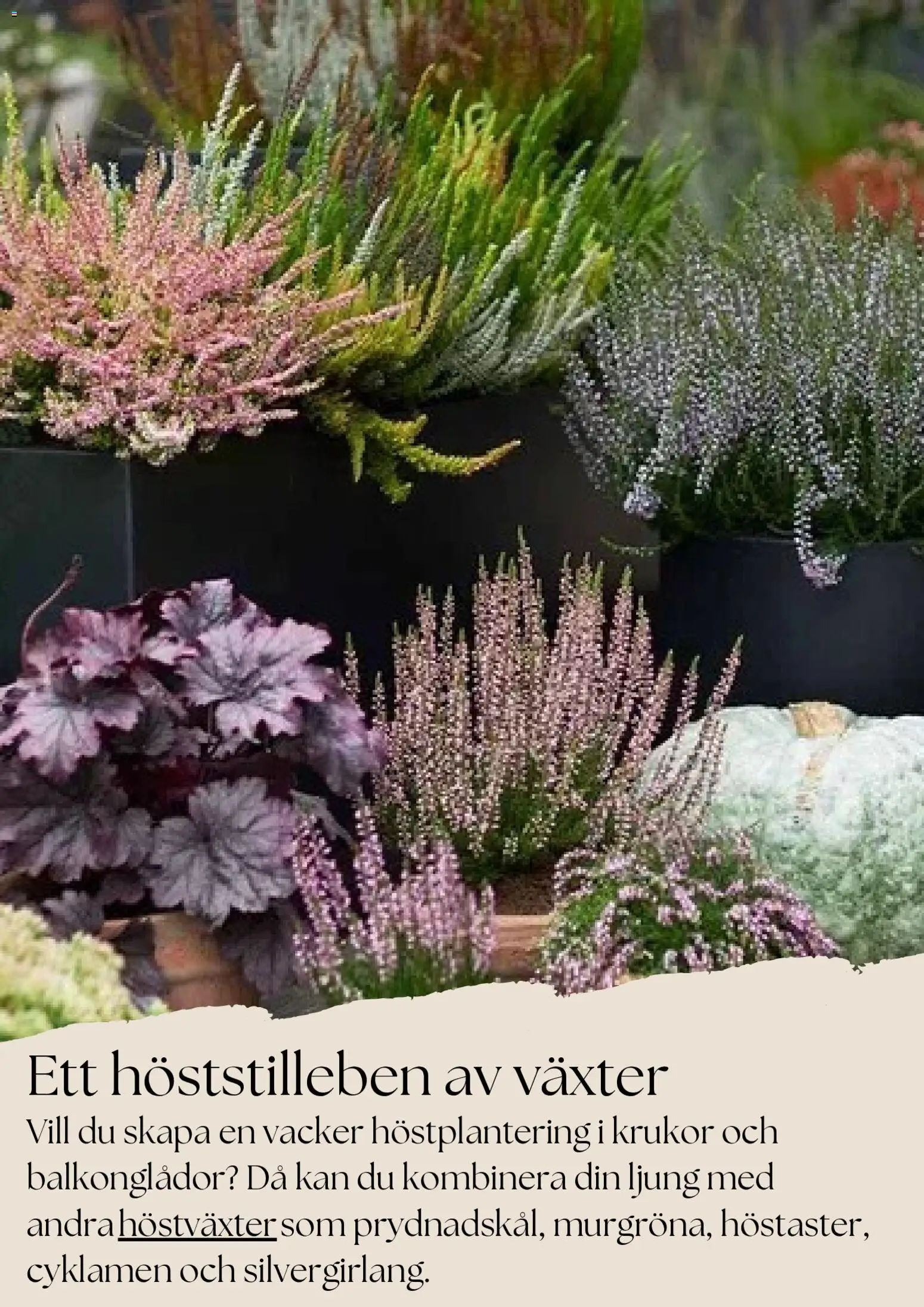 Plantagen reklamblad aktuell från 27.10.2025 | Sida: 4