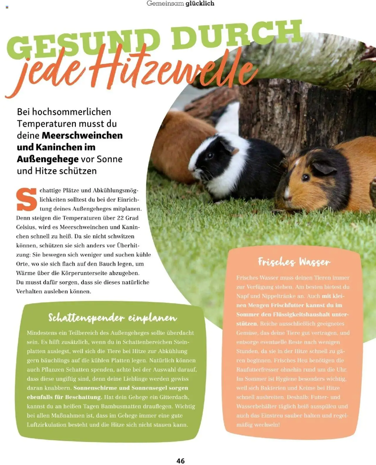 Fressnapf Friends 04/25 gültig ab 01.07.2025 | Seite: 46 | Produkte: Wasser