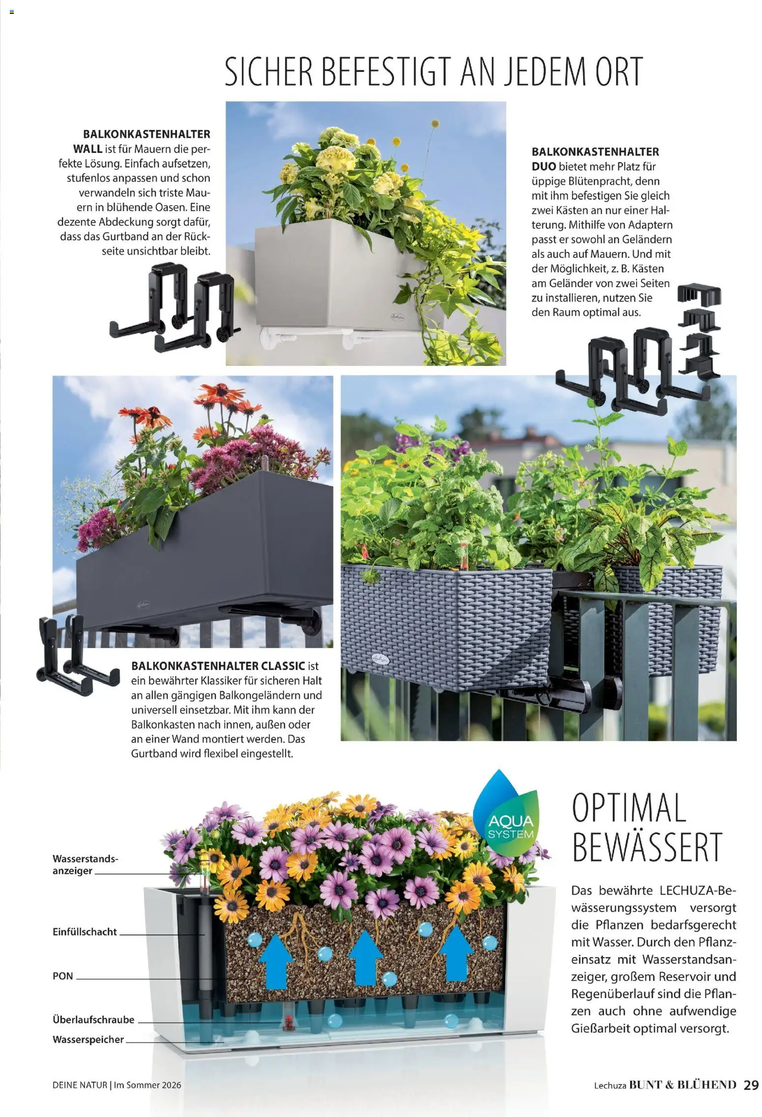 Dehner Prospekt 	 – gültig ab 17.04.2026 | Seite: 29