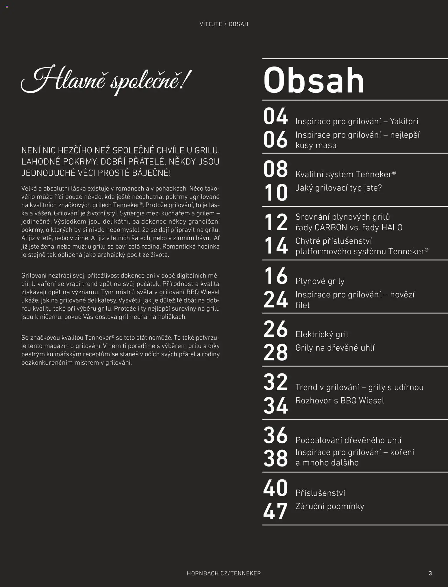 HORNBACH leták - Magazín o grilování od 01.01.2026 | Strana: 3 | Produkty: Hovězí, Grilování, Dřevěné uhlí, Gril
