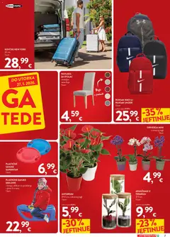 Katalog Interspar - Pregled kataloga iz trgovine Interspar, vrijedi od 07.01.2026 | Stranica: 7 | Proizvodi: Orhideja, Ruksak