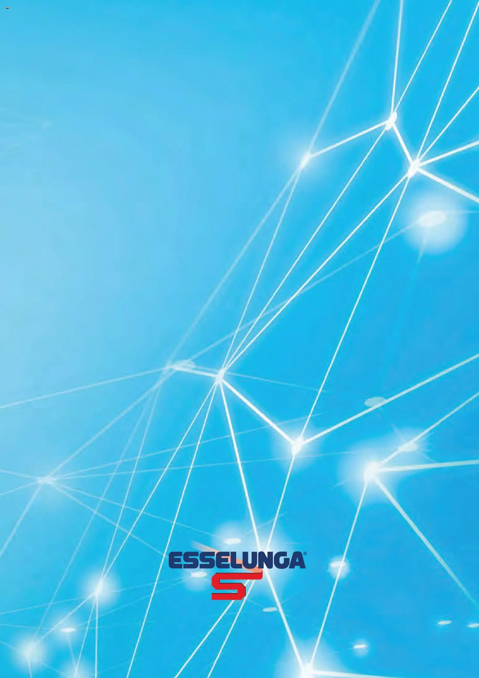 Volantino Esselunga S del 11.01.2026 | Pagina: 14