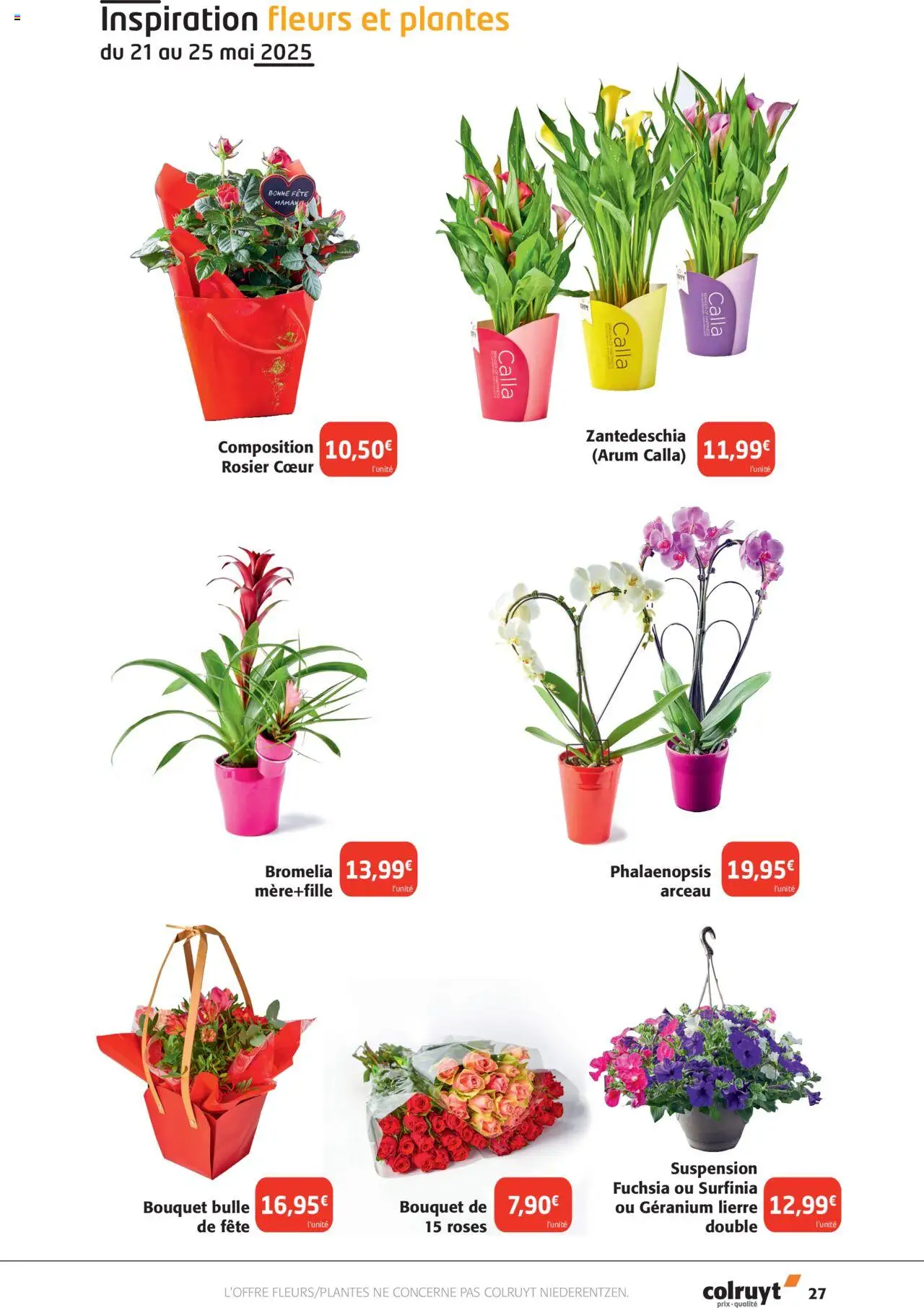  | Page: 27 | Produits: Plantes, Fleurs et plantes, Suspension, Géranium
