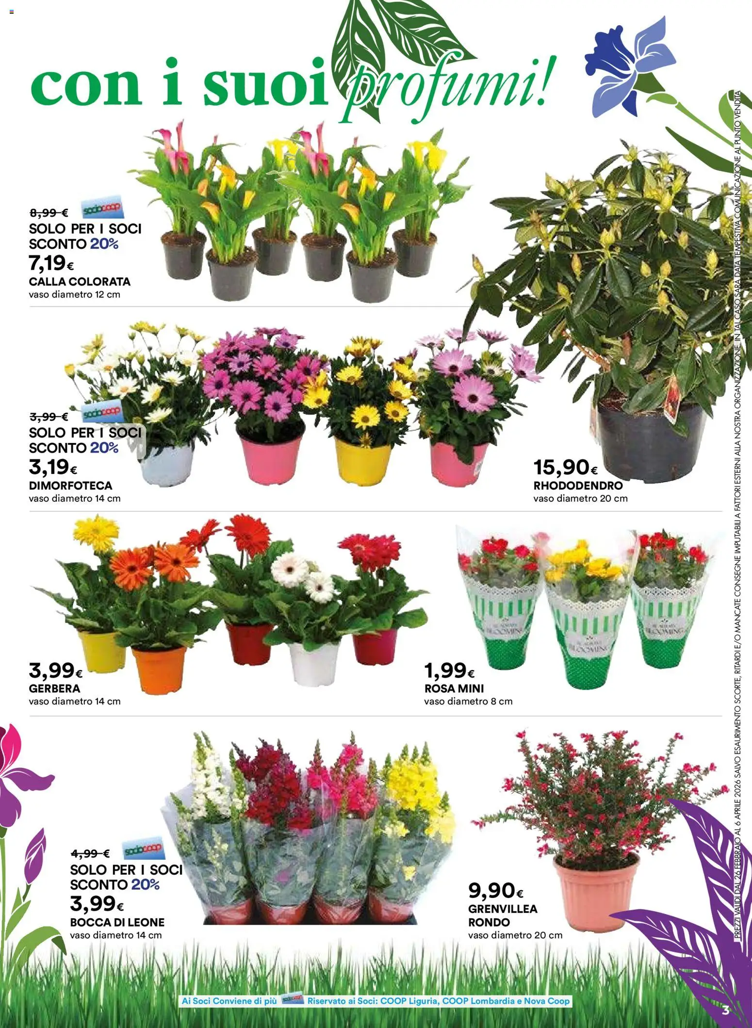 Volantino Ipercoop del 26.02.2026 | Pagina: 3 | Prodotti: Data, Vaso