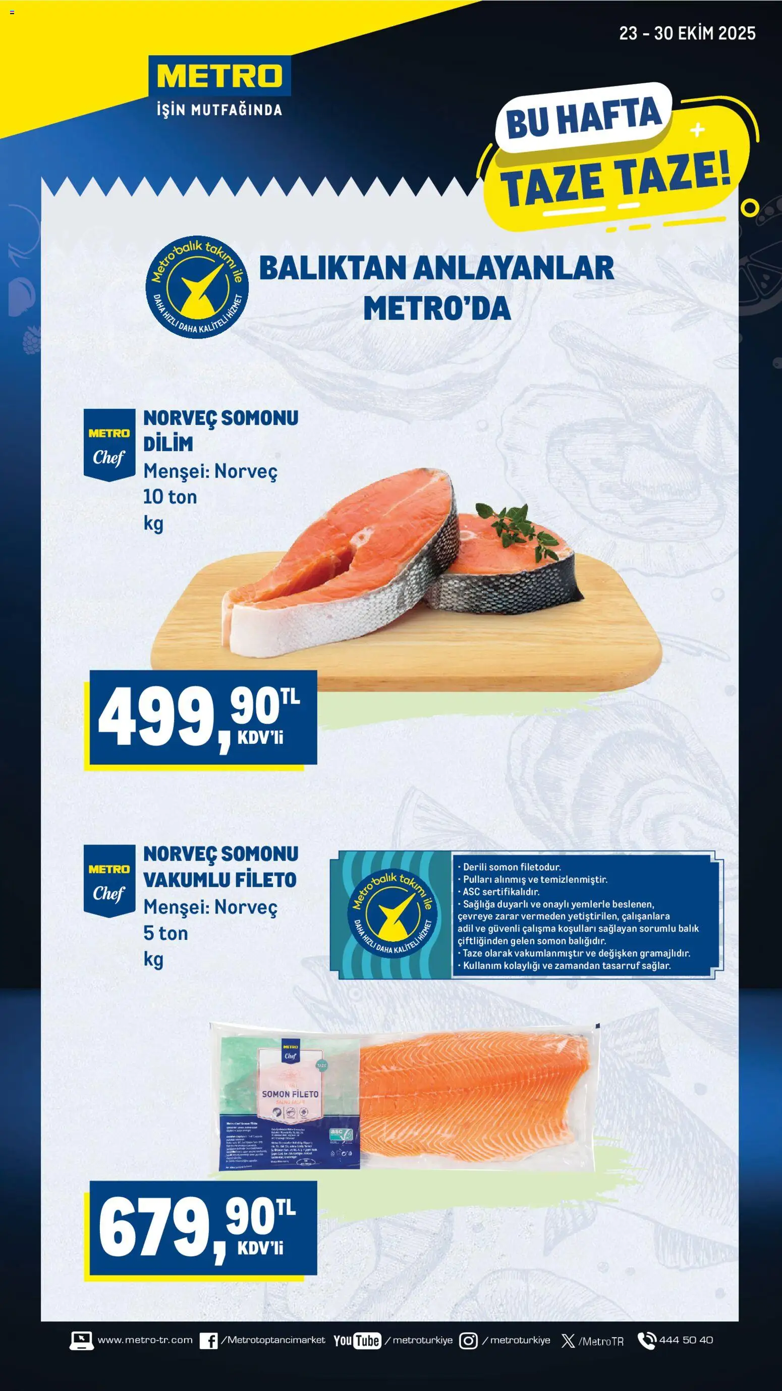 Metro Katalog - 23.10.2025 tarihinden itibaren geçerlidir | Sayfa: 1 | Ürünler: Balık, Somon fileto, Somon