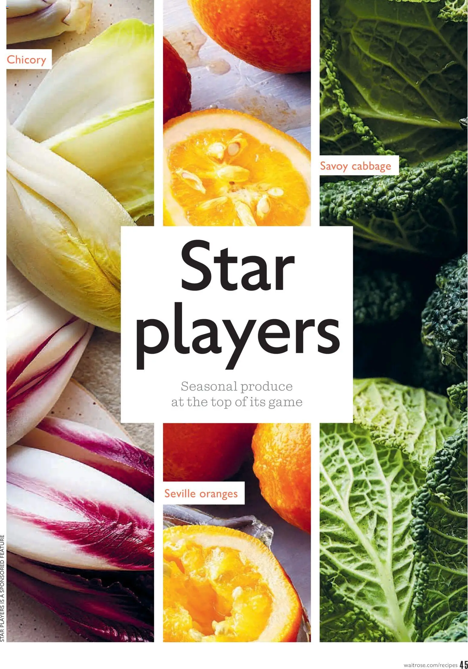 {H1} | Page: 45 | Products: Oranges