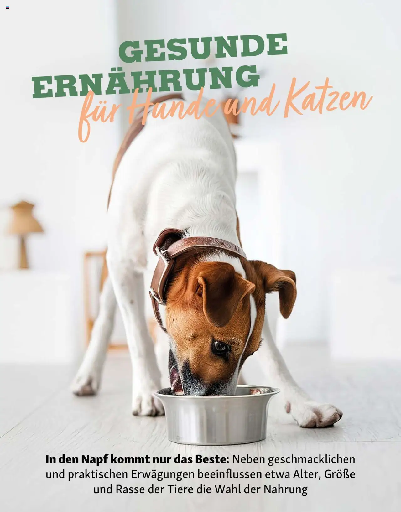 Fressnapf Friends Magazin – gültig ab 01.09.2025 | Seite: 16