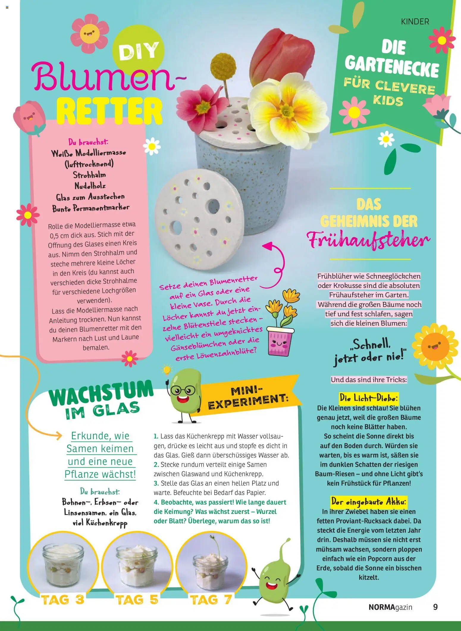 Norma NORMAgazin März/April 2026 – gültig ab 01.03.2026 | Seite: 9 | Produkte: Blumen, Wasser, Erbsen