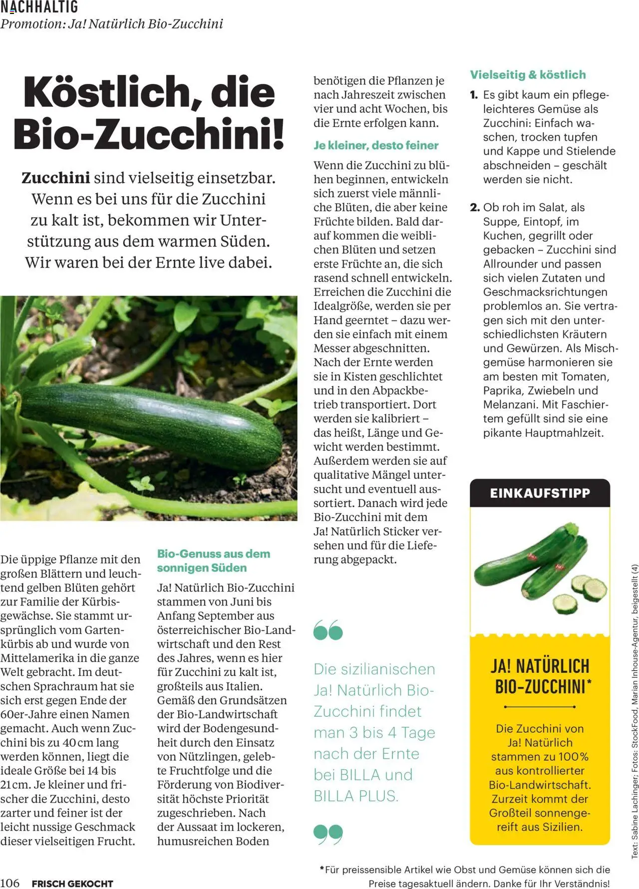 Billa Frisch Gekocht gültig ab 01.10.2025 | Seite: 104 | Produkte: Zwiebeln, Gemüse, Kappe, Kürbis