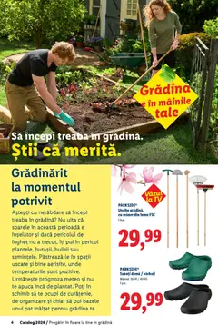 Ofertele Lidl valabile de la 19.02.2026 | Pagină: 4 | Produse: Pat, Mâner, Hacıyatmaz Kedi Oyuncağı