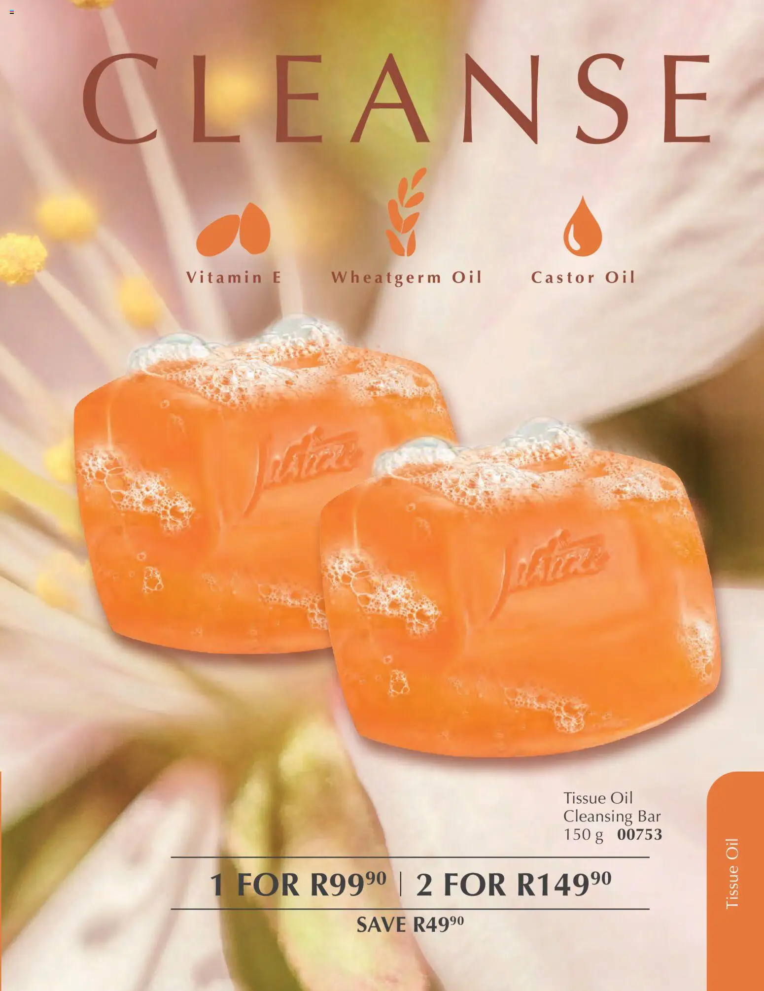 New Justine catalogue – valid from 01.02.2026 | Page: 93