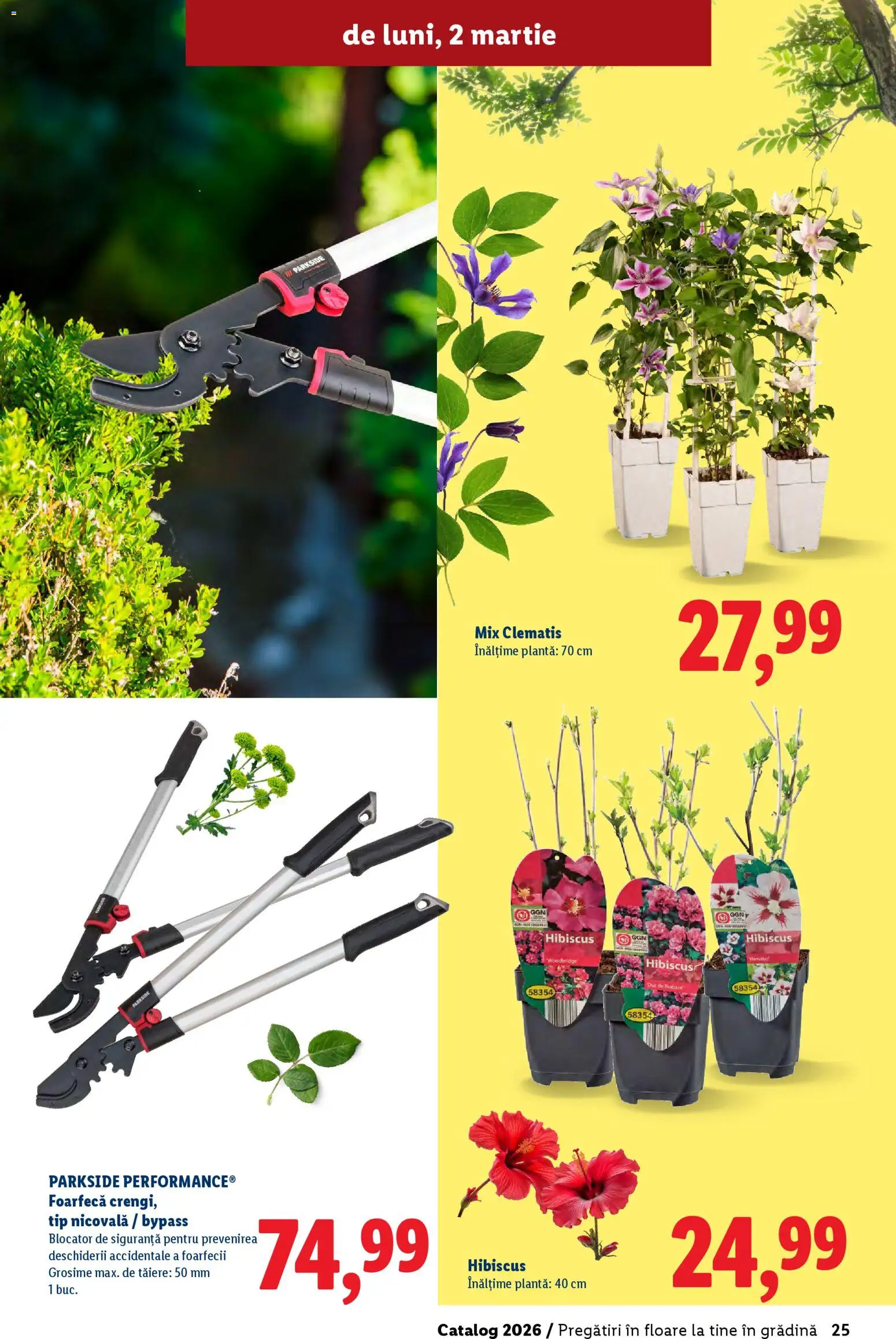 Noul catalog Lidl – valabil de la 19.02.2026 | Pagină: 25