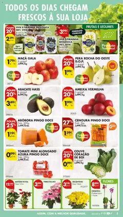 Pré-visualização ABÓBORA PINGO DOCE, Emb. 600g válido de 07.10.2025 | Página: 7