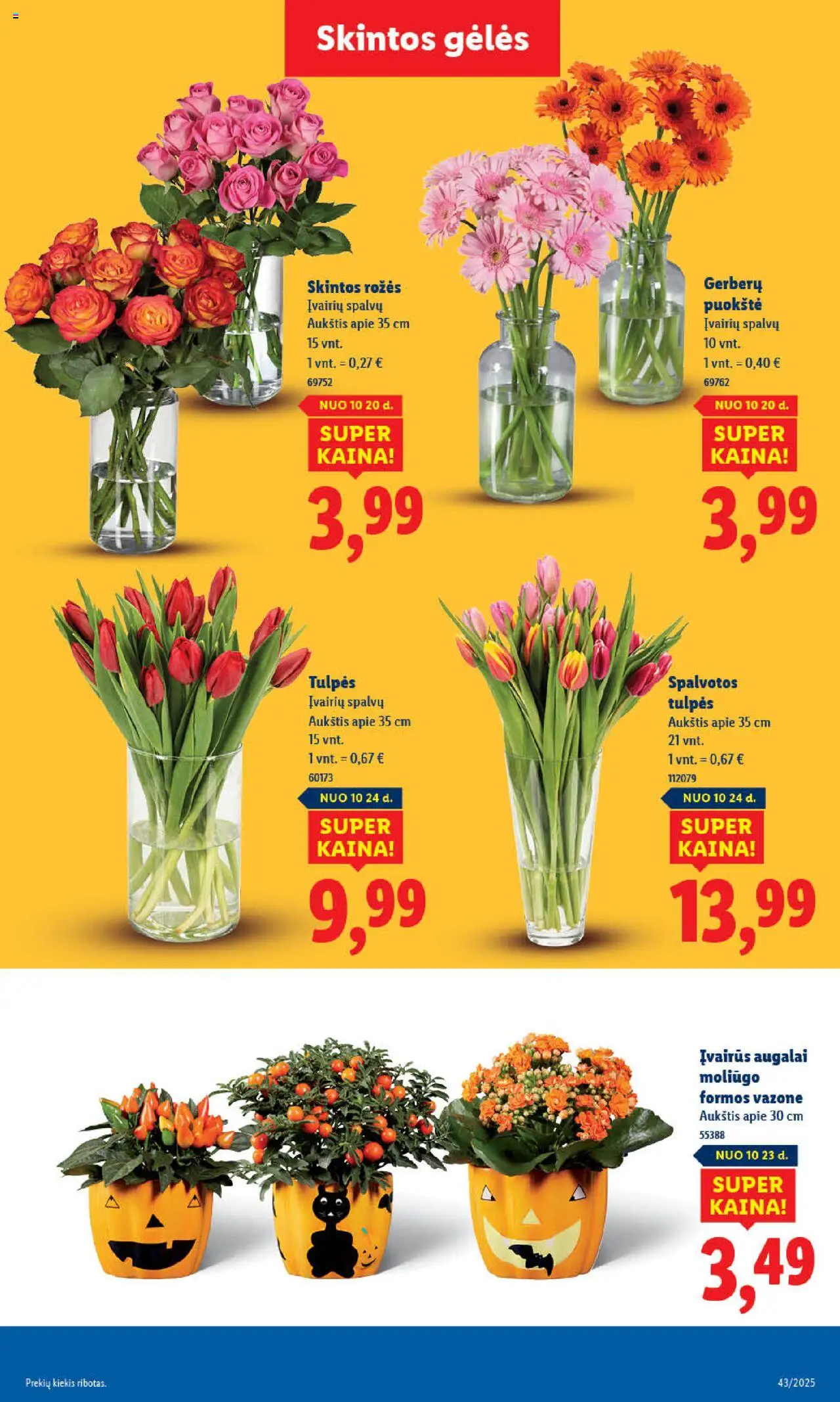 LIDL akcijos nuo 20.10.2025 | Puslapis: 55