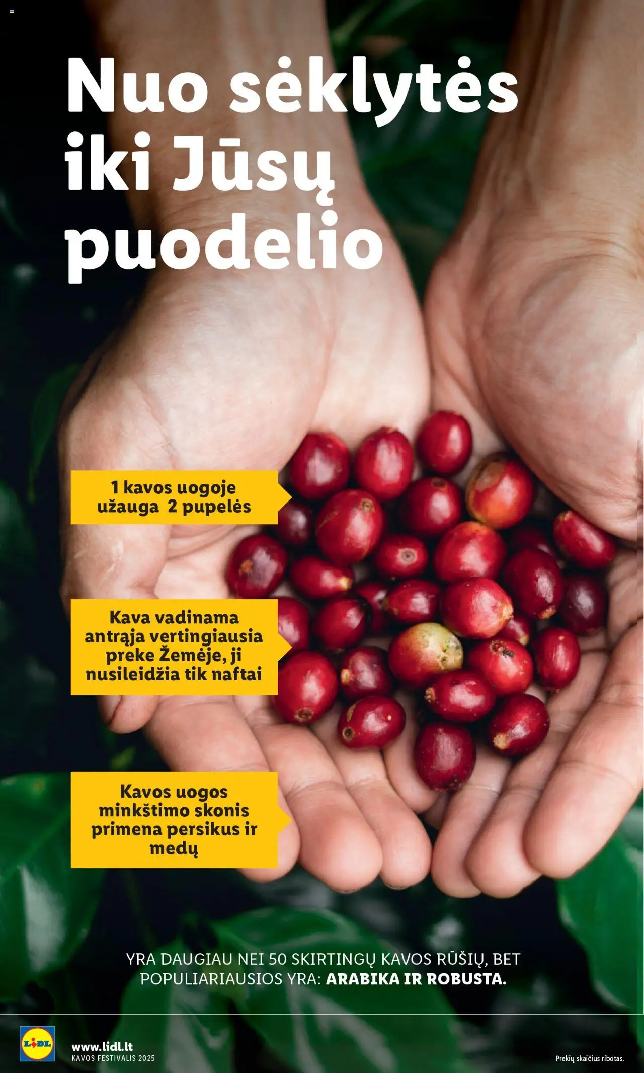 LIDL akcijos nuo 08.09.2025 | Puslapis: 12 | Prekių: Pupelės, Kava