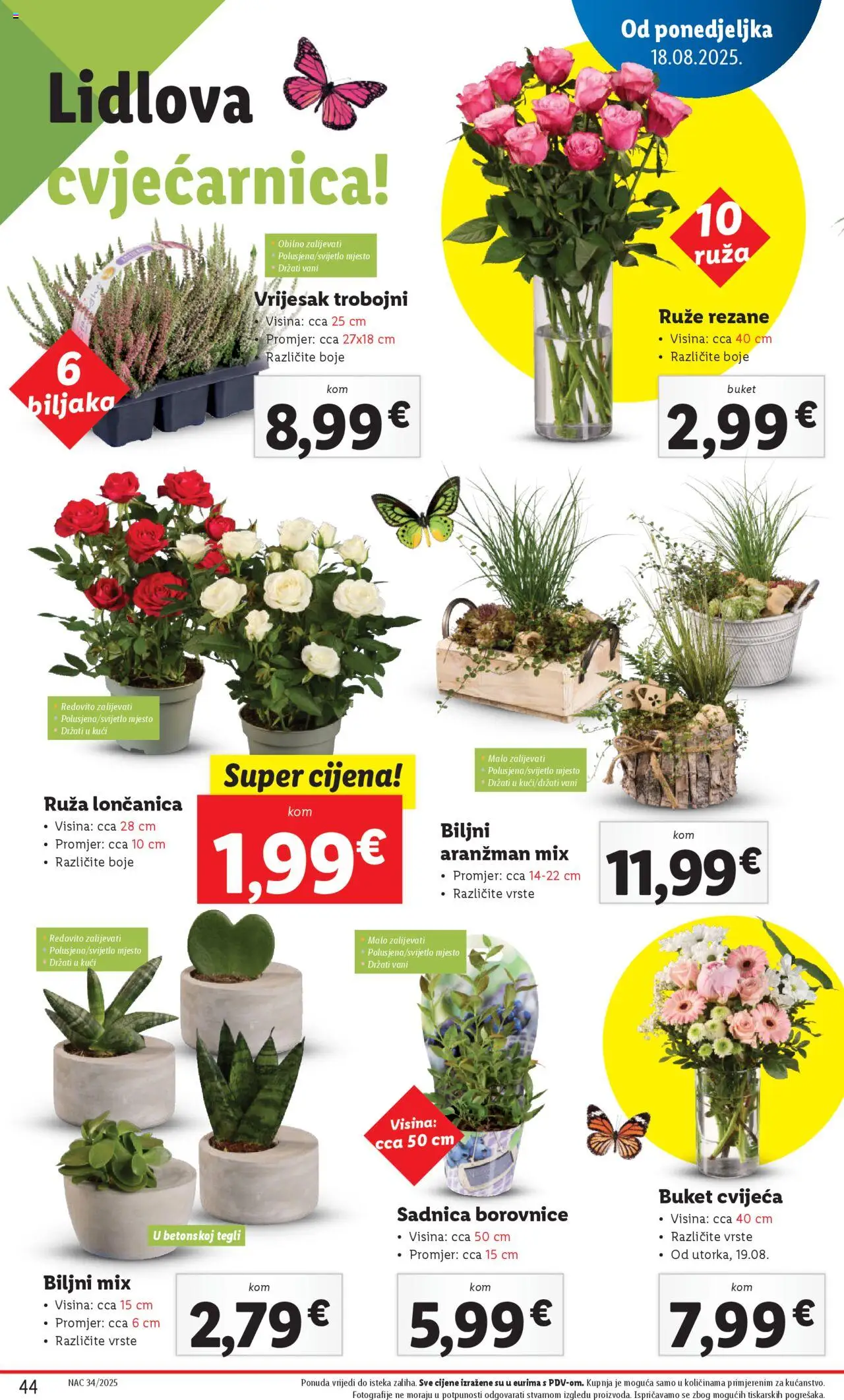 Lidl katalog | vrijedi od 18.08.2025 | Stranica: 44 | Proizvodi: Borovnice