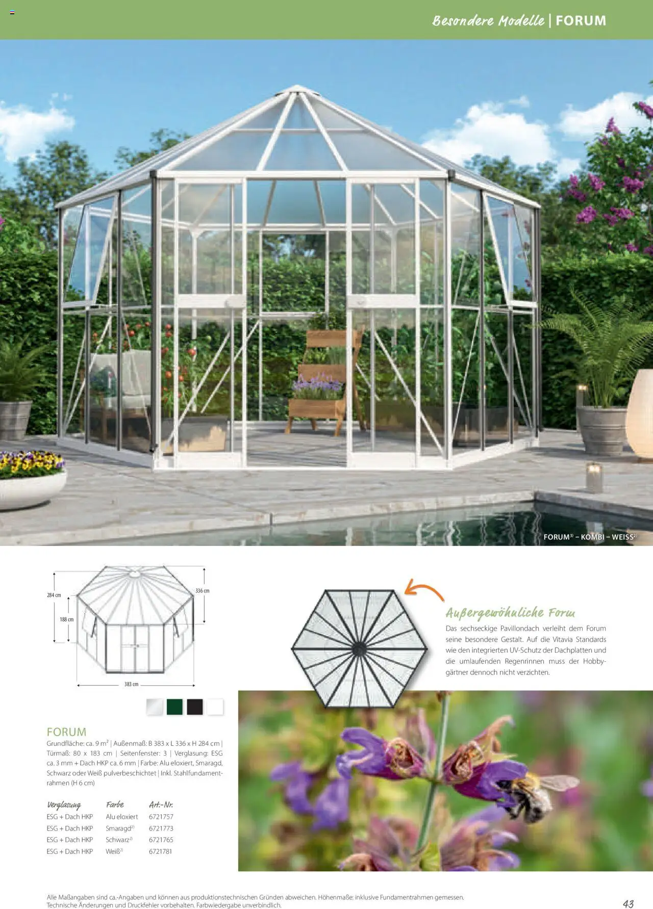 Dehner EPH – Gärtnern & Leben gültig ab 30.12.2024 | Seite: 43